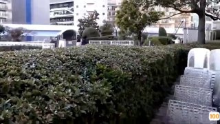 2019年只有三部国产极品视频过8分- 高清在线观看